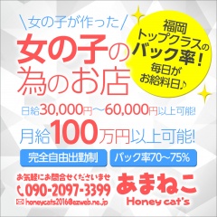 あまねこ～Honey Cat’～女性オーナーのお店〔求人募集〕